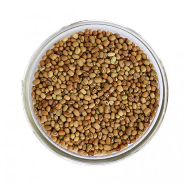 Ricebean (Ryans)